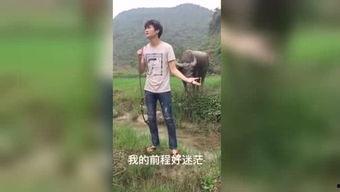 1788国产福利视频,揭秘国产影视新潮流