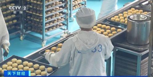 国产食品厂制作视频播放