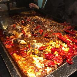 国产探鱼测评视频大全