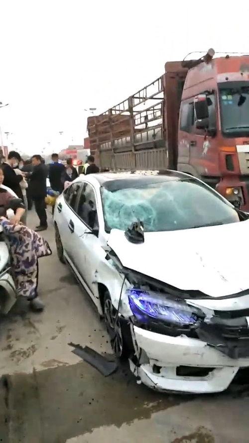 国产车视频路边